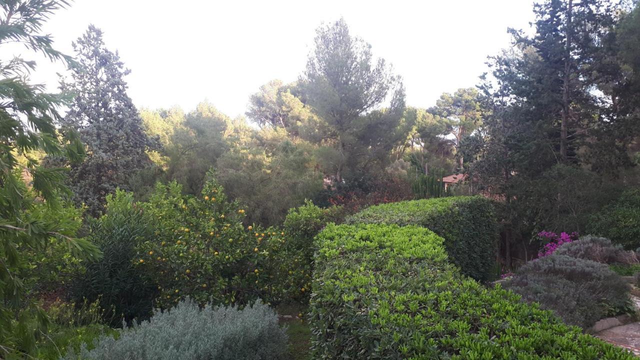 Casa De Vistas Villaer