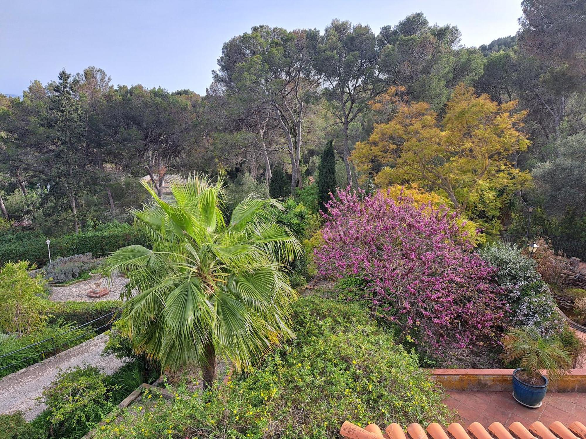 Villaer Casa De Vistas Palma de Mallorca